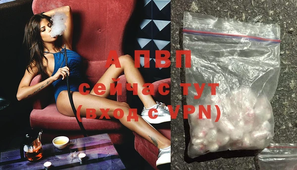 PSILOCYBIN Горняк