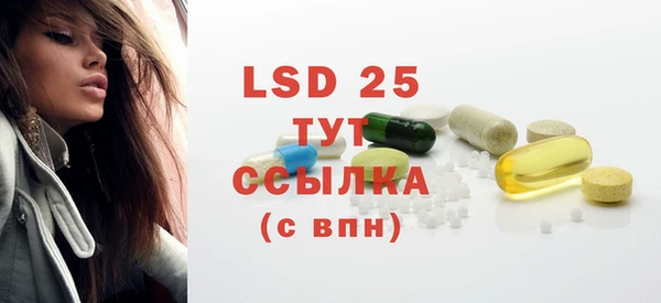 PSILOCYBIN Горняк