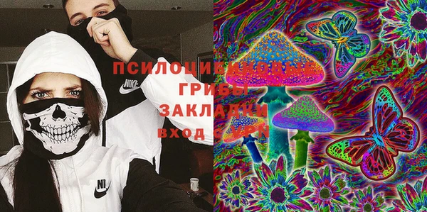 крисы Горнозаводск
