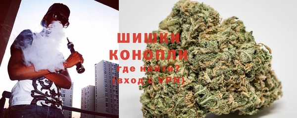 крисы Горнозаводск