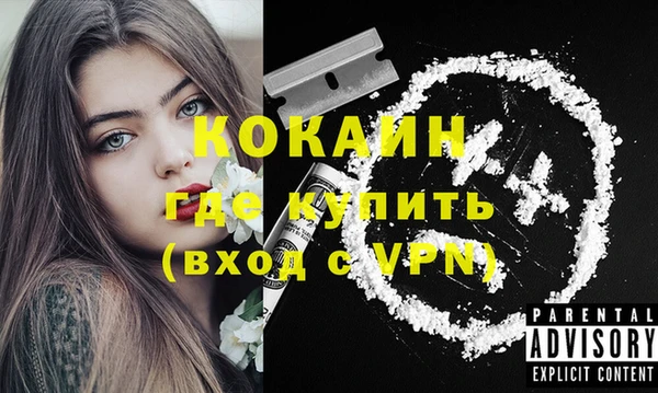 PSILOCYBIN Горняк