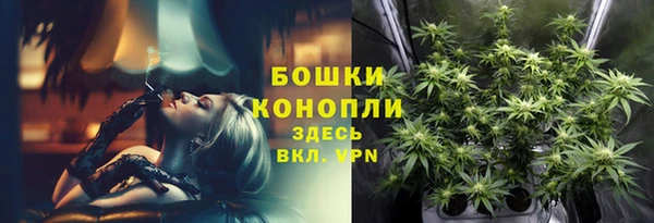 PSILOCYBIN Горняк